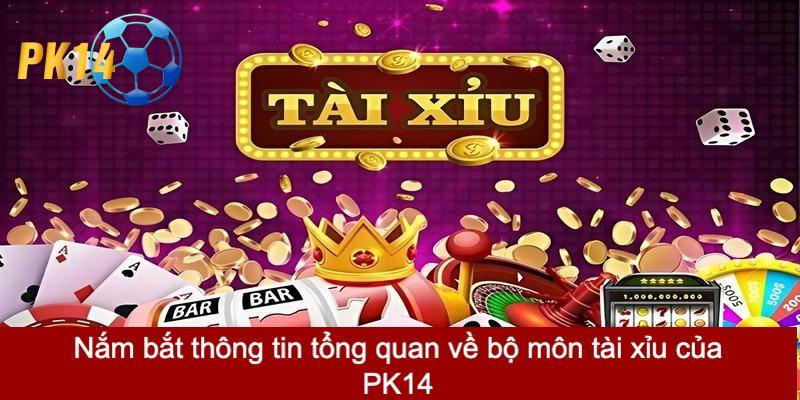 Cách chơi tài xỉu PK14